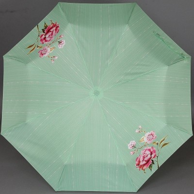 Яркий весенний зонтик Airton 3511-187