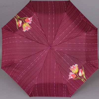 Женский зонт Аиртон 3511-178