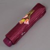 Женский зонт Аиртон 3511-178