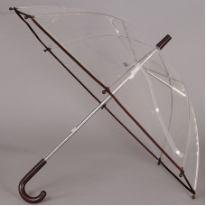 Прозрачный детский зонтик с коричневой окантовкой ArtRain 1501