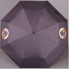 Зонт складной молодежный ArtRain арт.3917-1626 Monsertrack