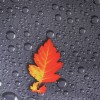 Зонт повседневный Zemsa 12-001 Осенние листья