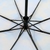 Зонт женский (полный автомат) купол-104см, 420гр Lamberti 73945-1812 Чикаго