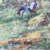 Плоский зонтик супер мини S.Nikas by Lamberti 75117-1868 Сон о райских птицах в туманном лесу