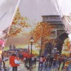 Зонт 9 спиц полный автомат Laska 1852-9803 Осенний Париж