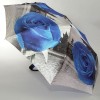 Атласный зонтик Magic Rain 7337 Синяя роза