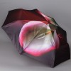 Зонт женский TRUST 30471-98 Цветы