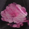 Женский зонт TRUST 33472-11 Цветы Сакуры