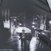 Зонт Zest женский 23745 Под дождем