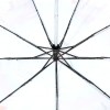 Зонт женский Zest 239444-77 Картина маслом