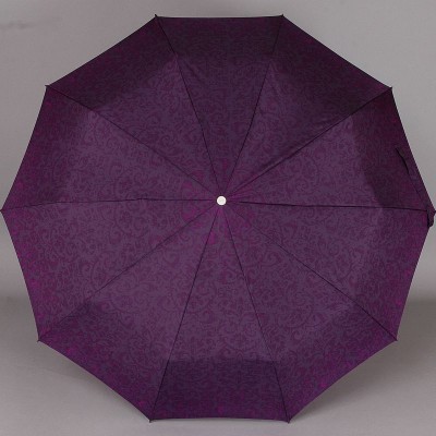 Зонт с каркасом 10 спиц ZEST 23969-325