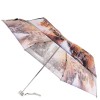 Удобный компактный зонт Zest 253625 Венеция