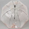 Прозрачный зонт-трость ZEST 51570