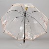 Прозрачный зонт-трость ZEST 51570